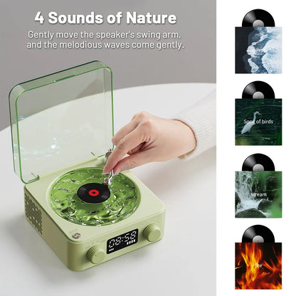 The Mini Record Player