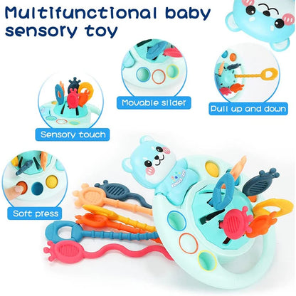 Development Baby Rattle