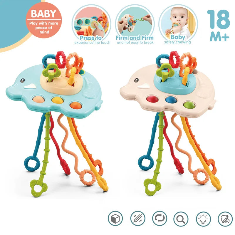 Development Baby Rattle